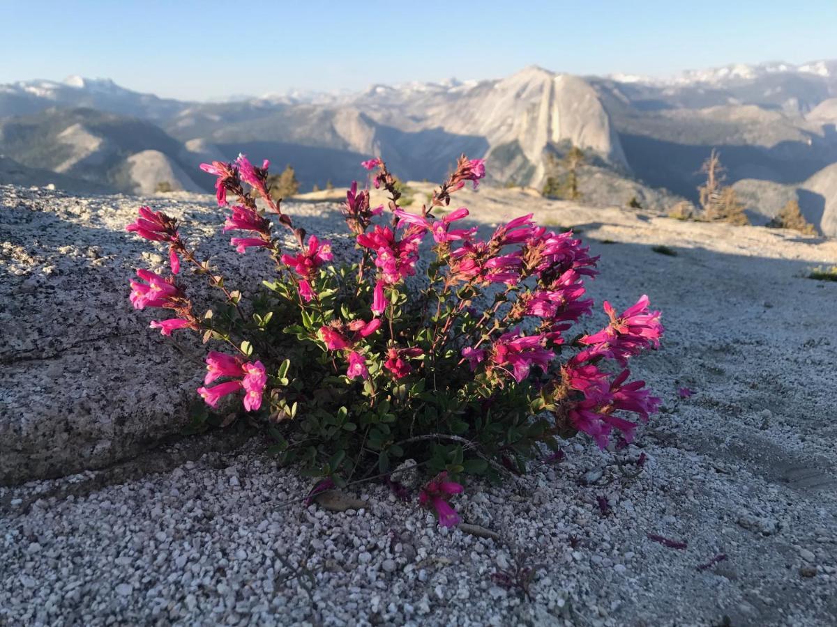 马里波萨Morning Star Vista Near Yosemite - Countryside With Mountain Views公寓 外观 照片